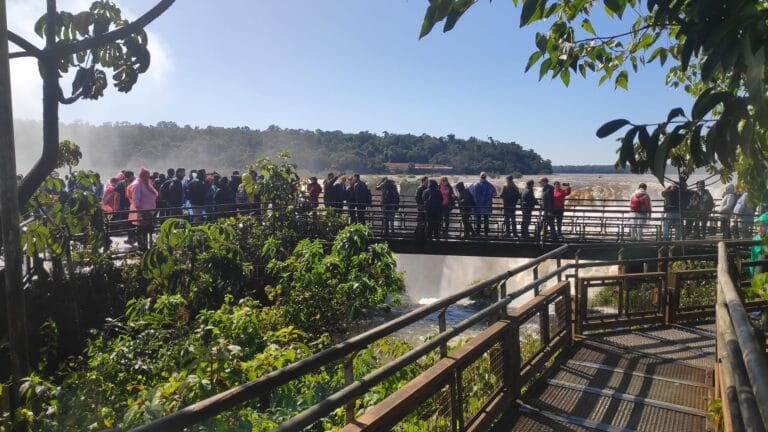 IMG_20220520_115913_1